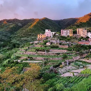 Arbanella Corniglia